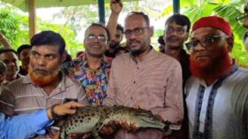 ময়মনসিংহের ভালুকায় কুমিরের খামার পরিদর্শনে মৎস্য ও প্রাণিসম্পদ প্রতিমন্ত্রী
