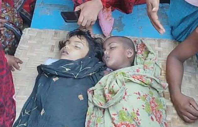 ময়মনসিংহ পানিতে ডুবে দুই বোনসহ ৪ শিশুর মৃত্যু