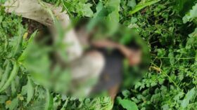 ঈশ্বরগঞ্জে সেতুর পাশে অজ্ঞাত ব্যক্তির মরদেহ উদ্ধার