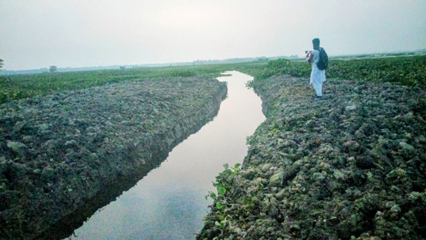 কেন্দুয়ায় জালিয়া হাওরের বাঁধ কেটে ৫৫ লাখ টাকার ক্ষতির অভিযোগ